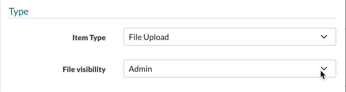 The File Visibility dropdown within a checklist item setup.