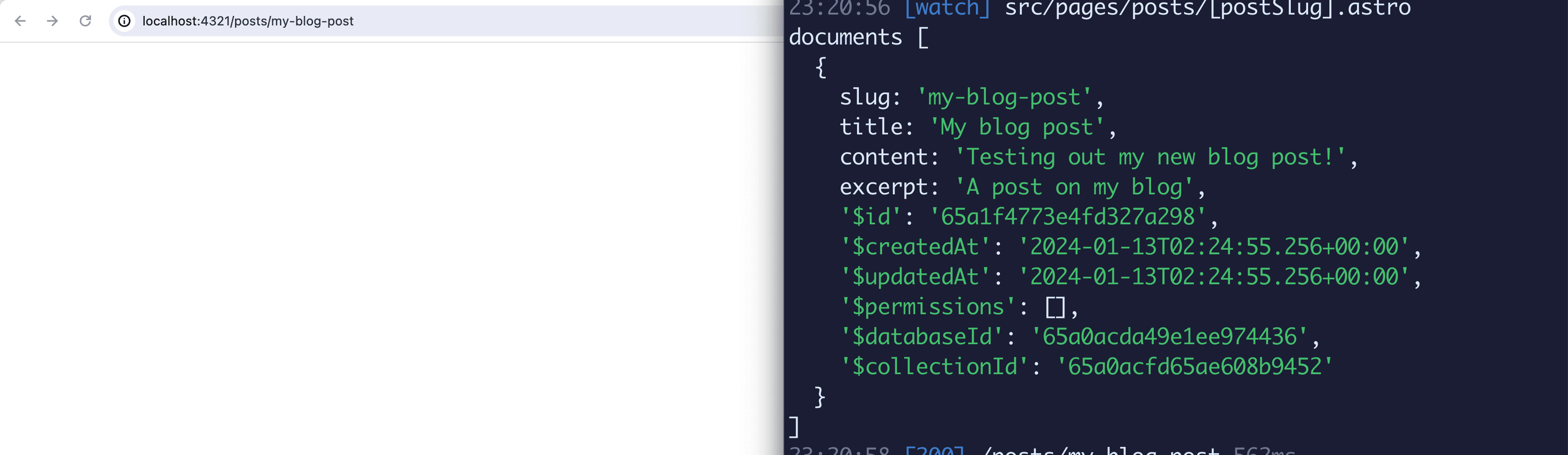 Appwrite document logged to terminal