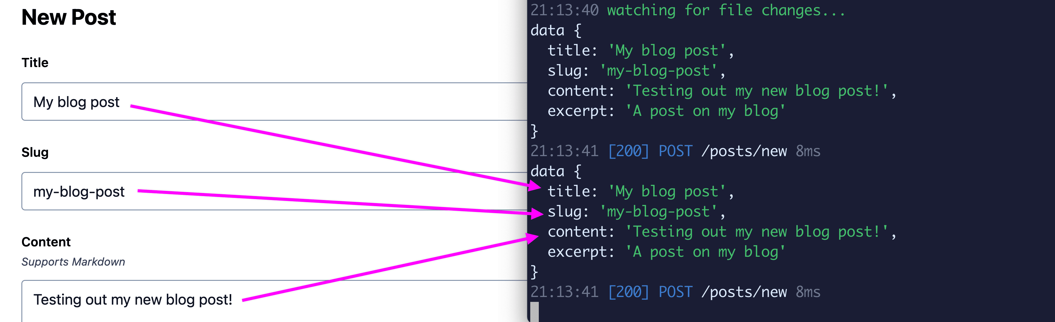 Logging out form data into the terminal
